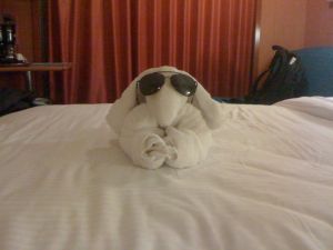 Frottèdyr på Norwegian Gem