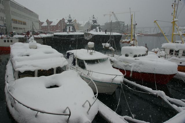 Nedsnødde båter i havna       Foto: R.T. Enoksen