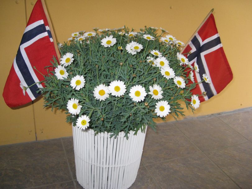 Blomster på 17. mai    Foto: J.K. BLess