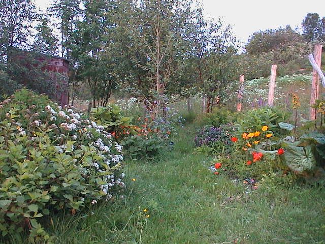 Naturhage. Foto: J.K. Bless