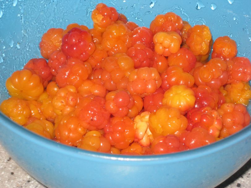 Sareptas krukke kanskje.