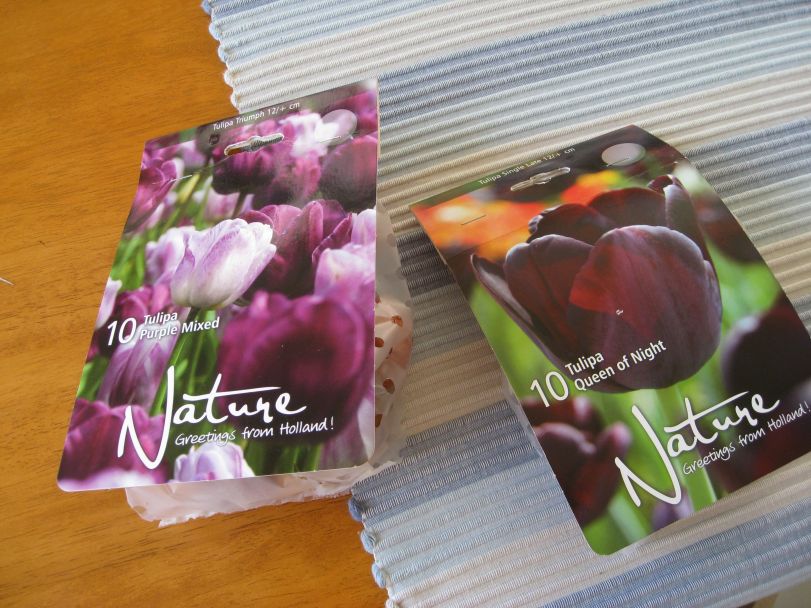 Tulipanløk. Foto: J.K. Bless Tulipanløk.