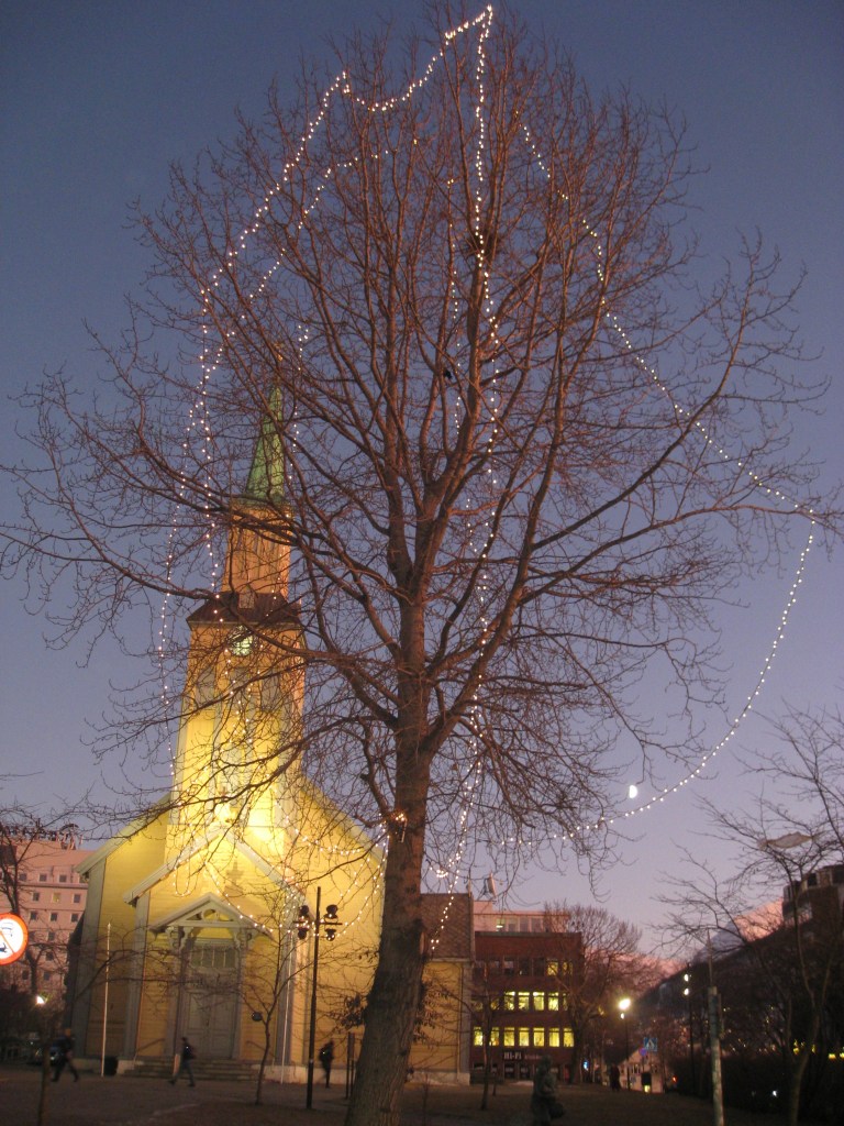 Domkirka og månen, sistnevnte skimtes så vidt innimellom greiene på treet.