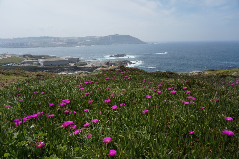 Coruna Blomster ved Herculestårnet