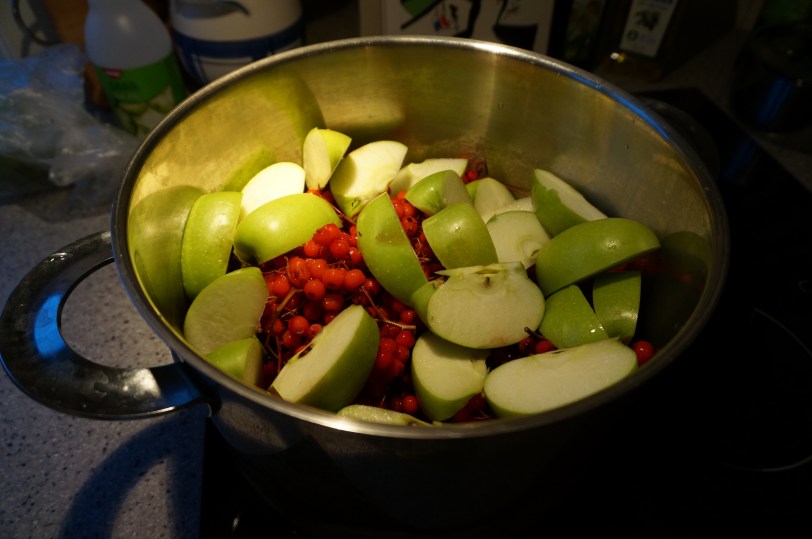 Rognebærgele alt i gryta