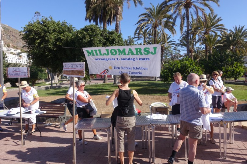 Miljømarsj