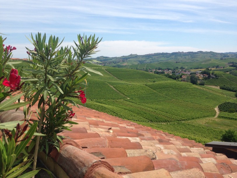 vinmarker-sa%cc%8a-langt-oyet-rekker